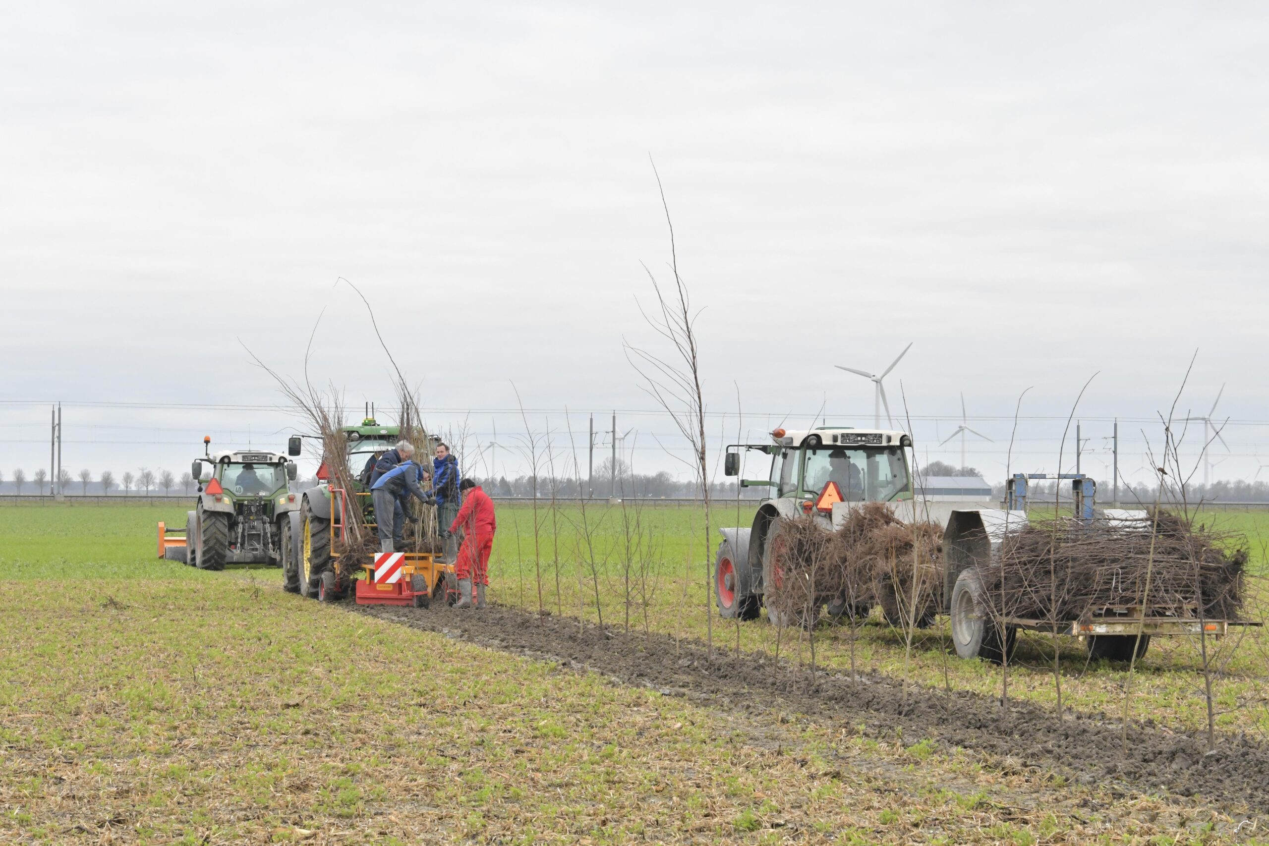 WUR onderzoekt voordelen van bomenhagen in de polder (met video)