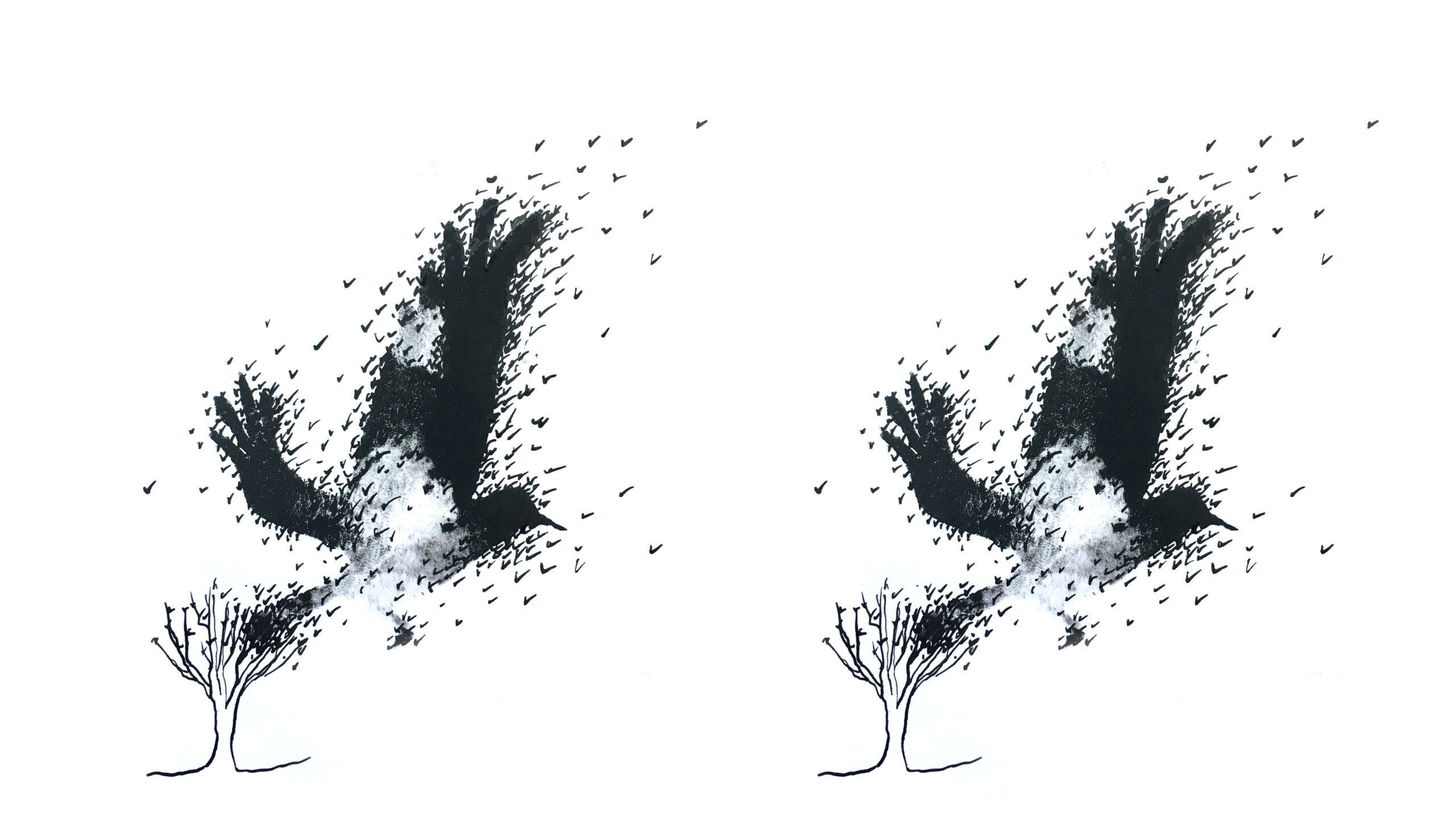 A little wiser: Why do birds swarm?