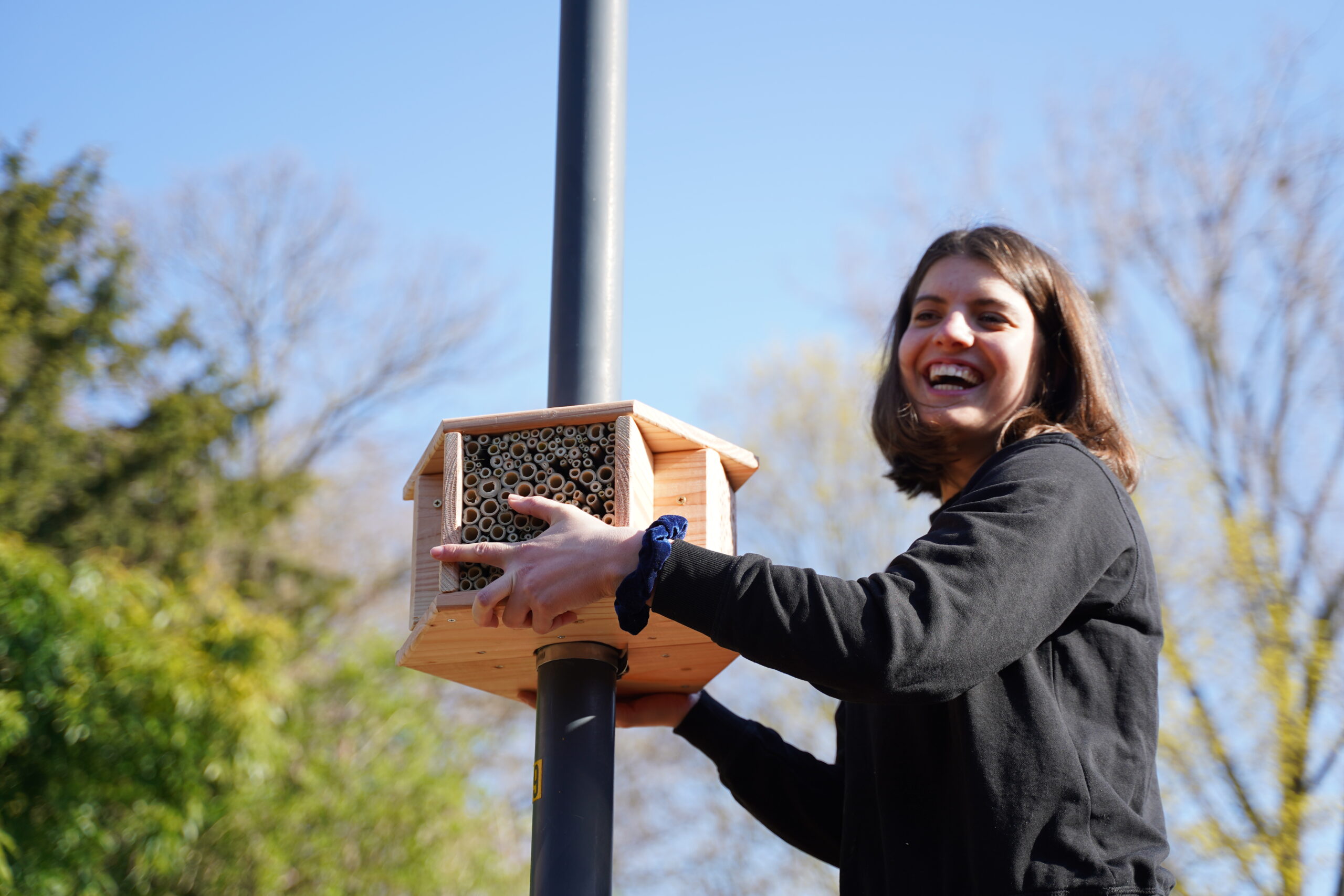 Images: students offer bees shelter