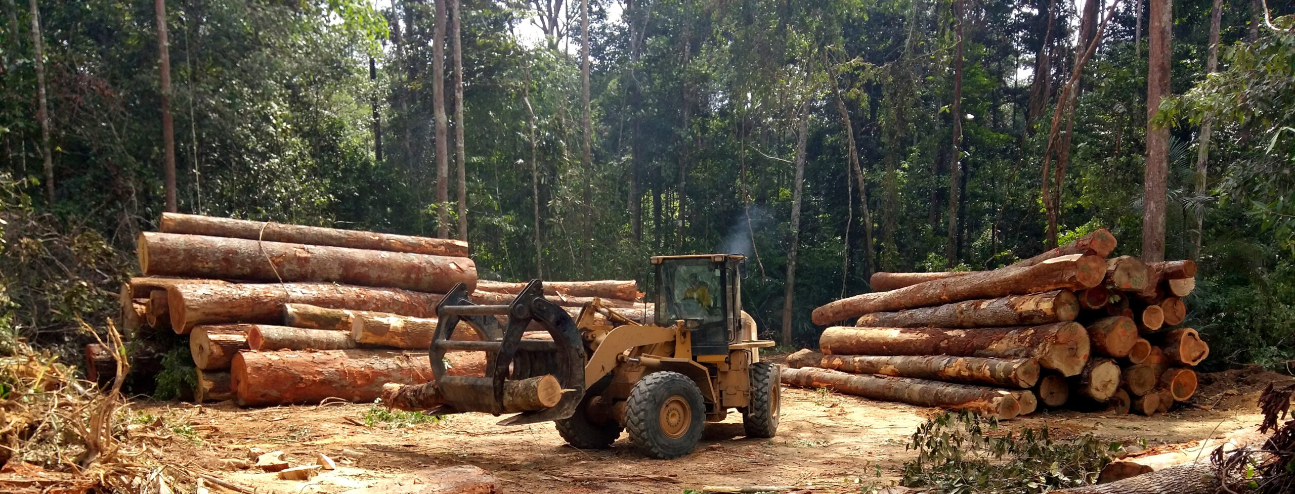 Ontbossing in het Amazonegebied