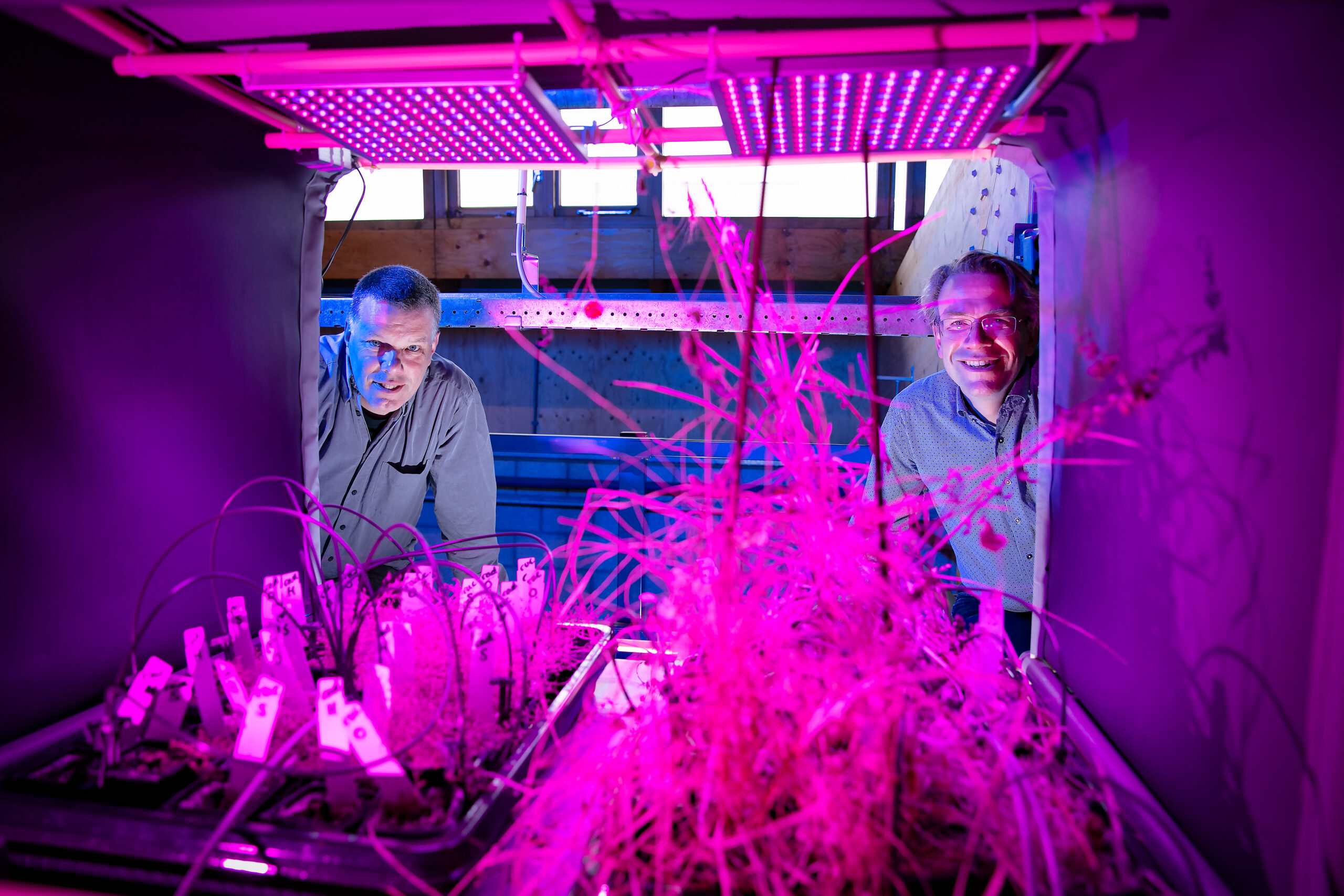 Farming in space as student challenge