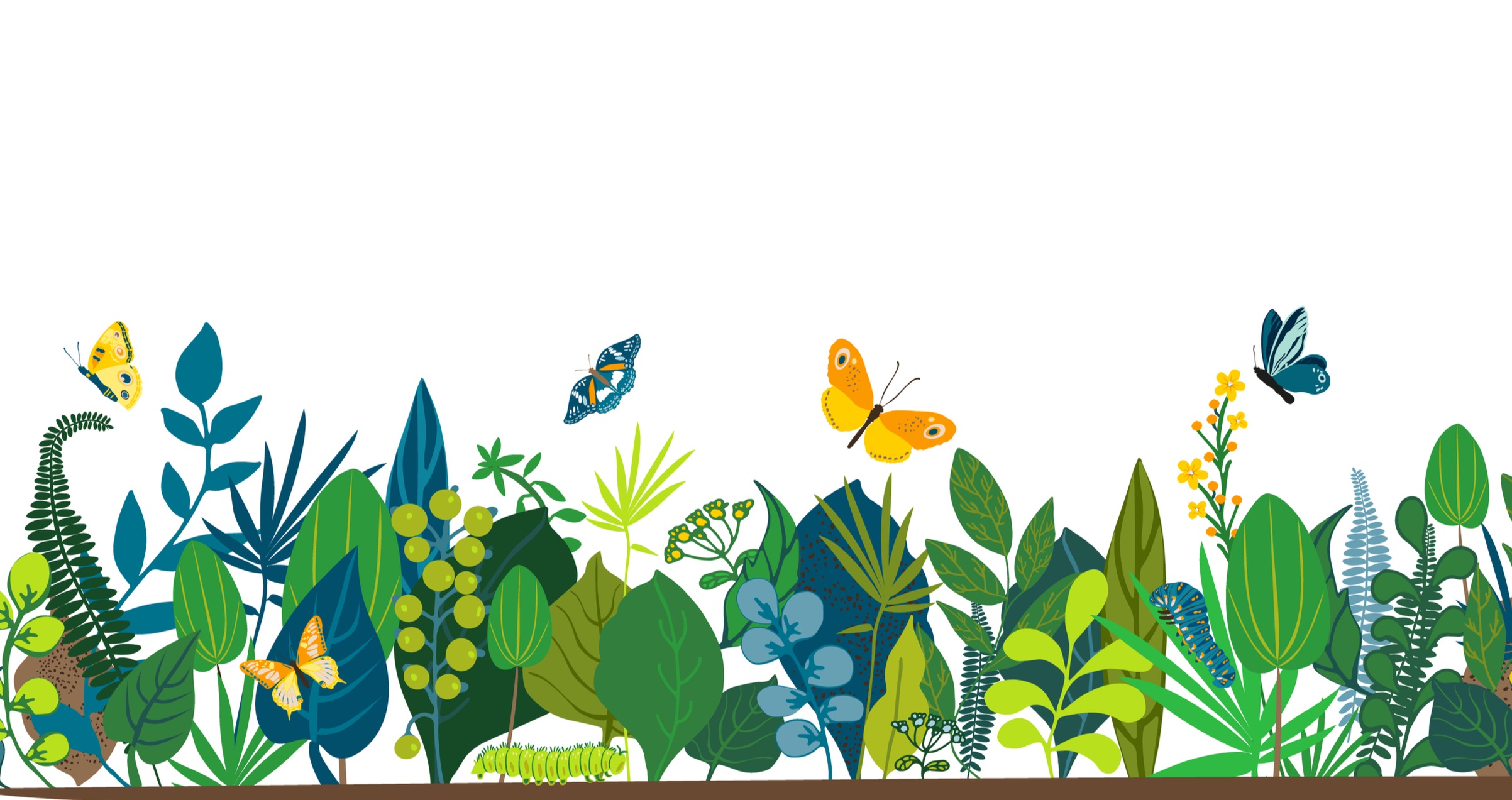 Chemie bepaalt band vlinders-planten
