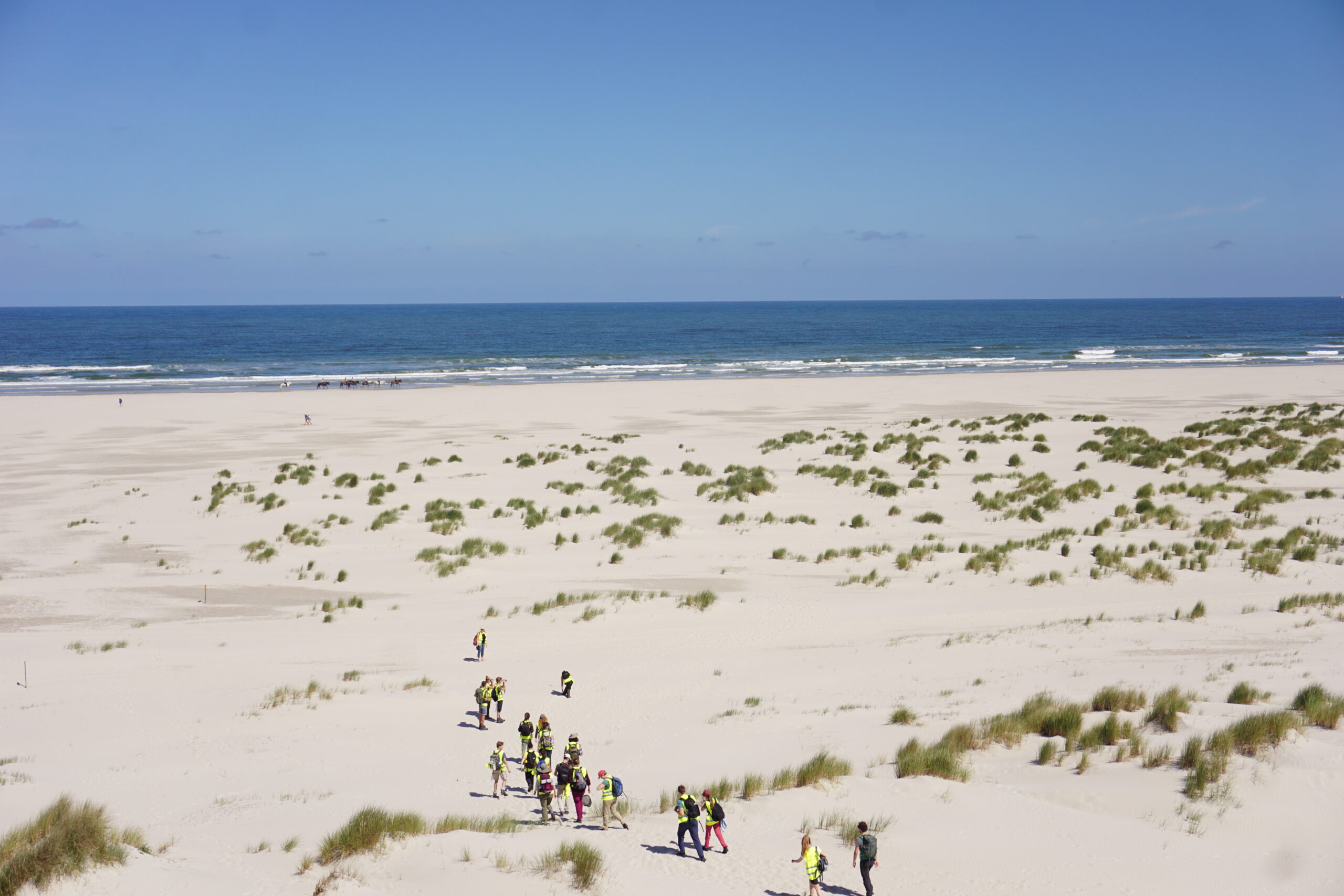Studenten lopen door de duinen naar de zee