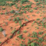 dieren in Afrika van bovenaf