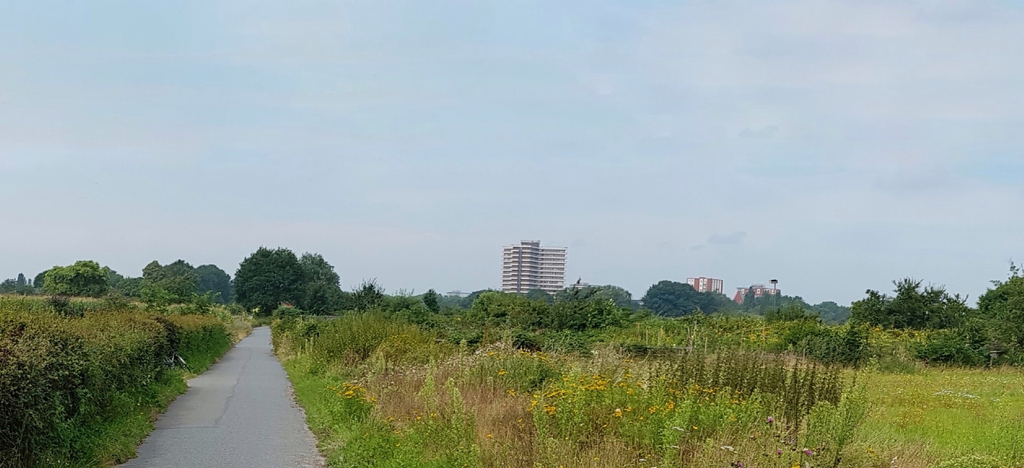 De landschappen van Wageningen