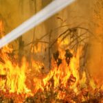 Brandweerman blust bosbrand in Australië