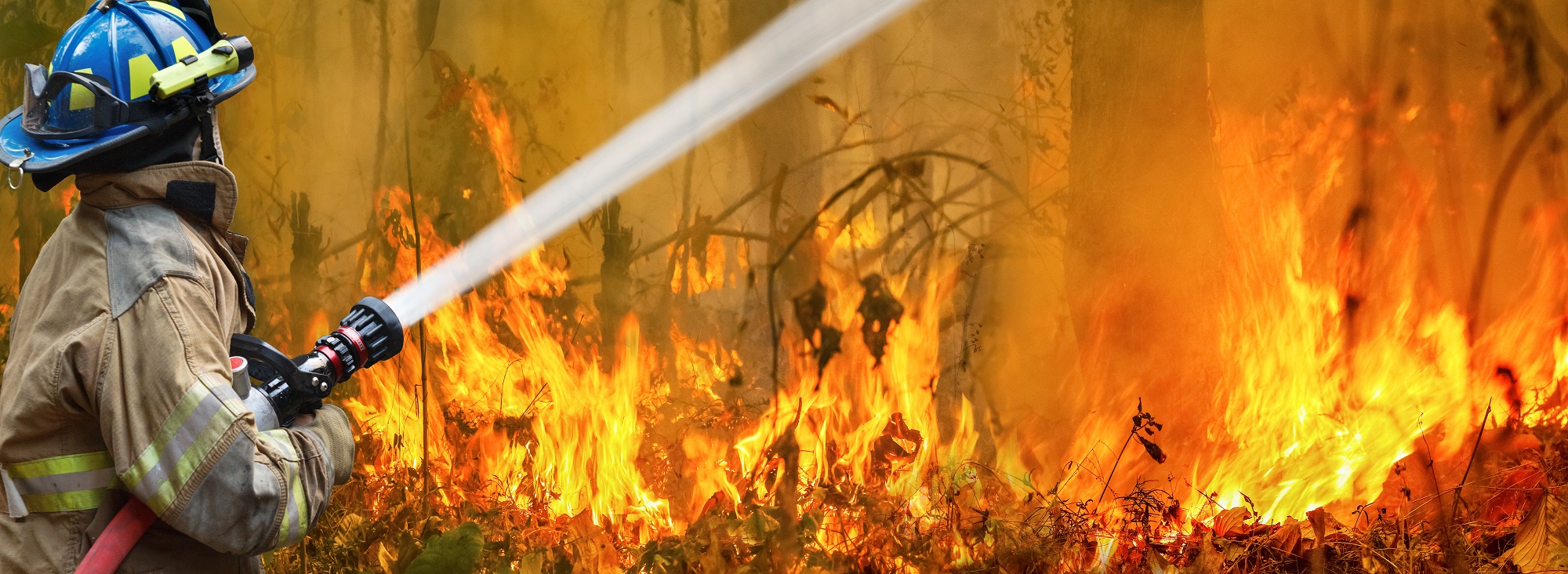 Brandweerman blust bosbrand in Australië