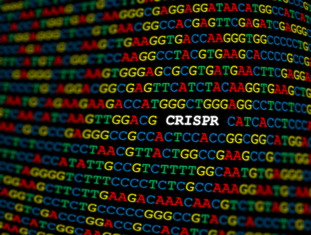 What is the scope of the Wageningen CRISPR-Cas patents?