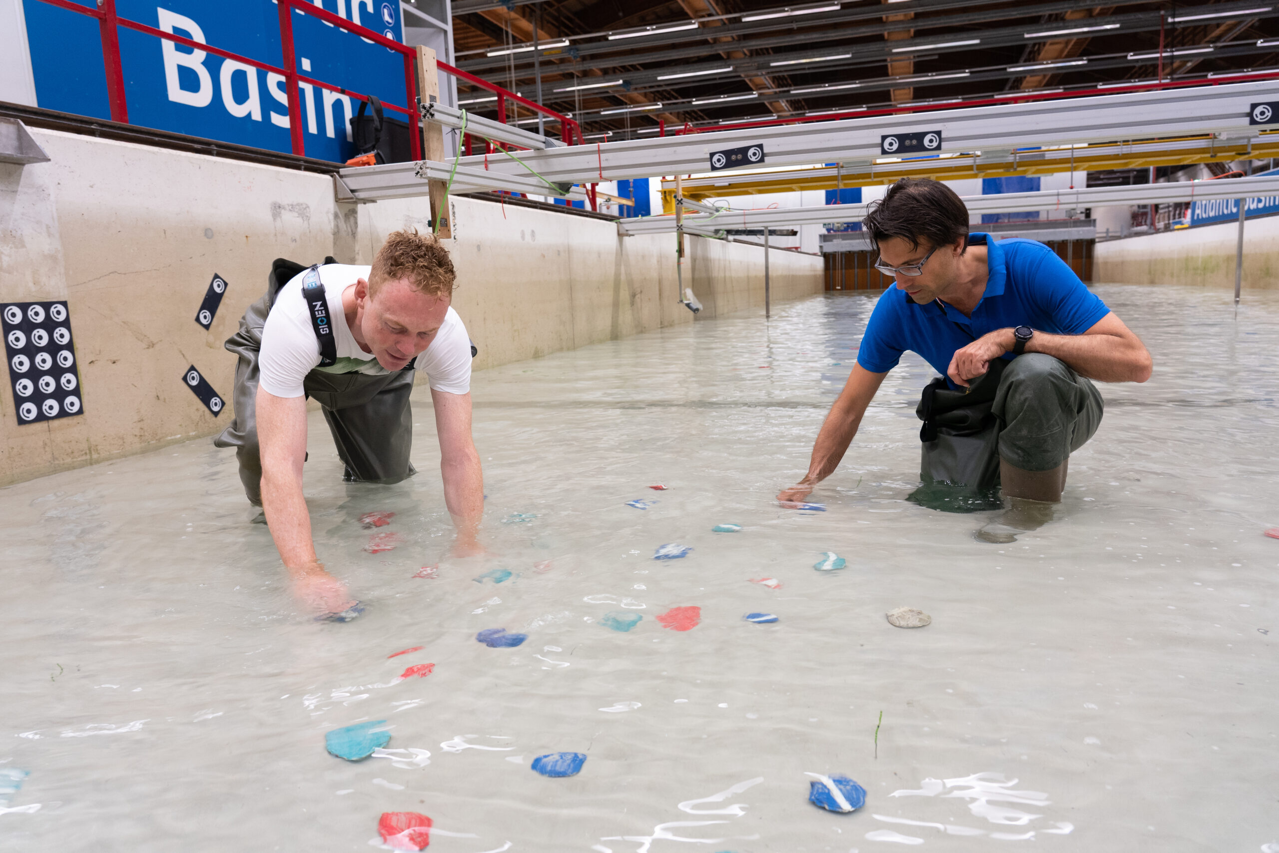 Oysters in the wave pool