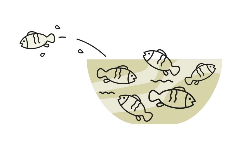 Illustratie van vissen in een vissenkom
