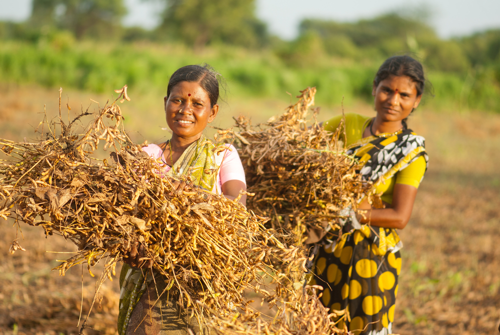 Beste Indiase boeren zijn van meerdere markten thuis