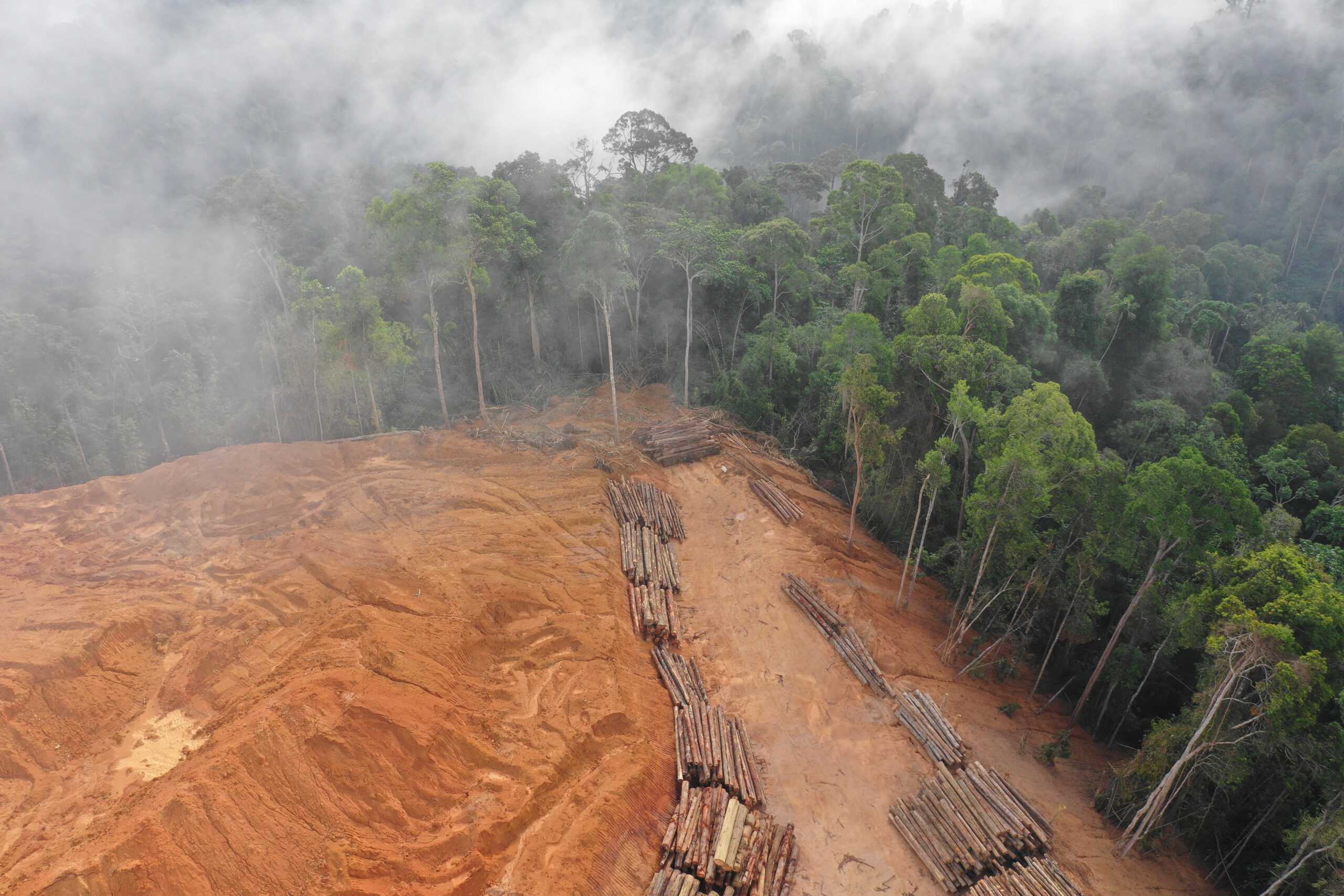 Klimaattop #7: Amazone