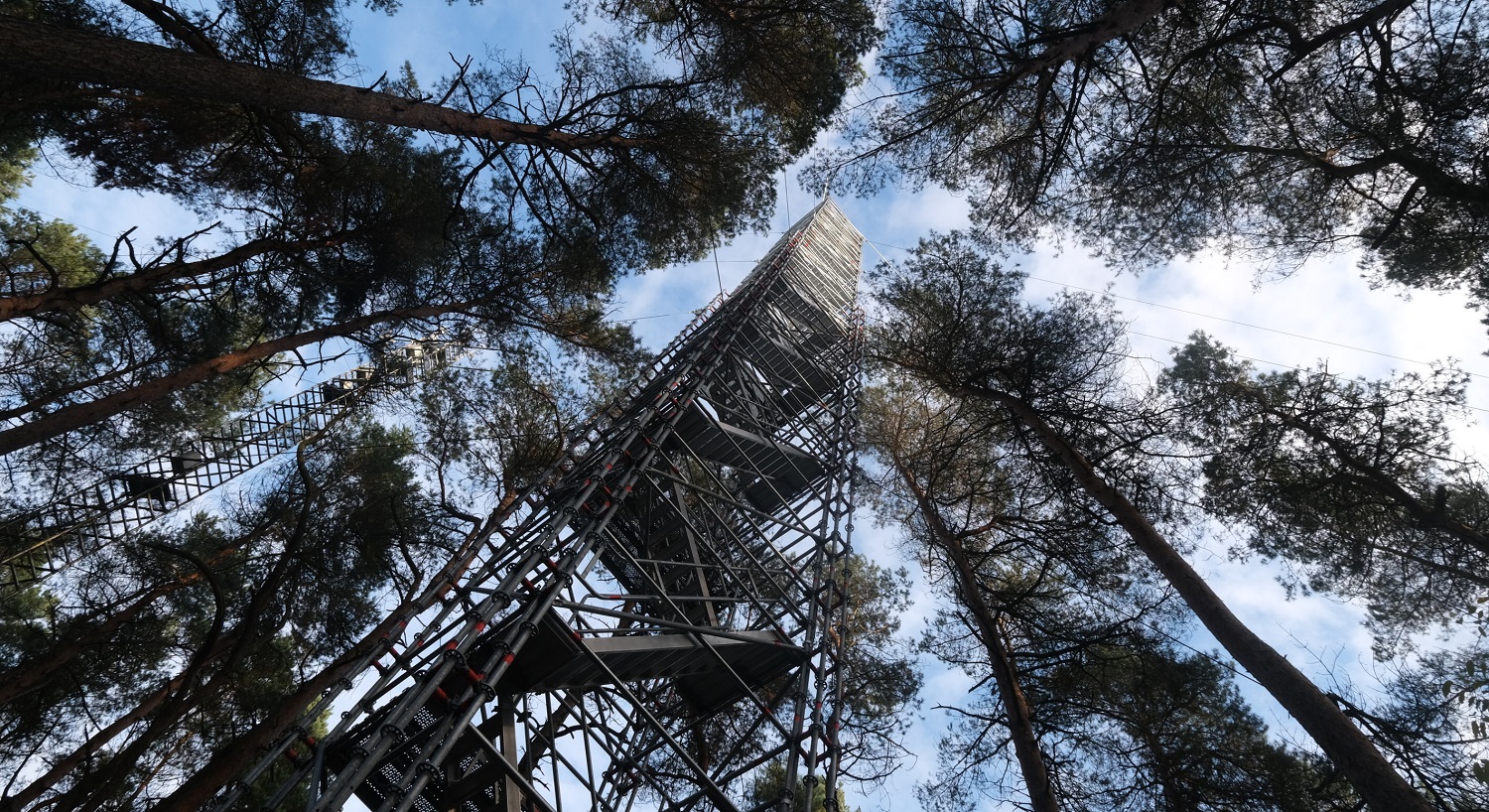 Tower measures forest’s breath