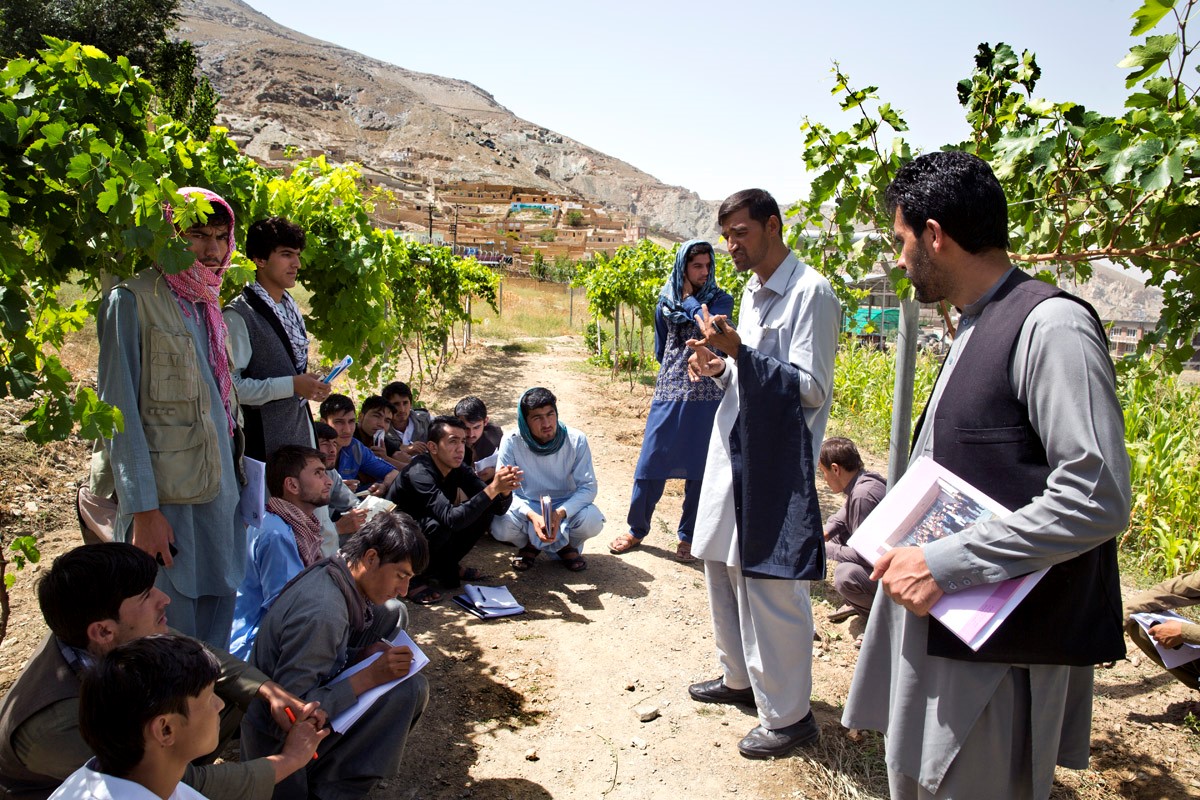 Salaries for WUR programme staff in Kabul no longer paid