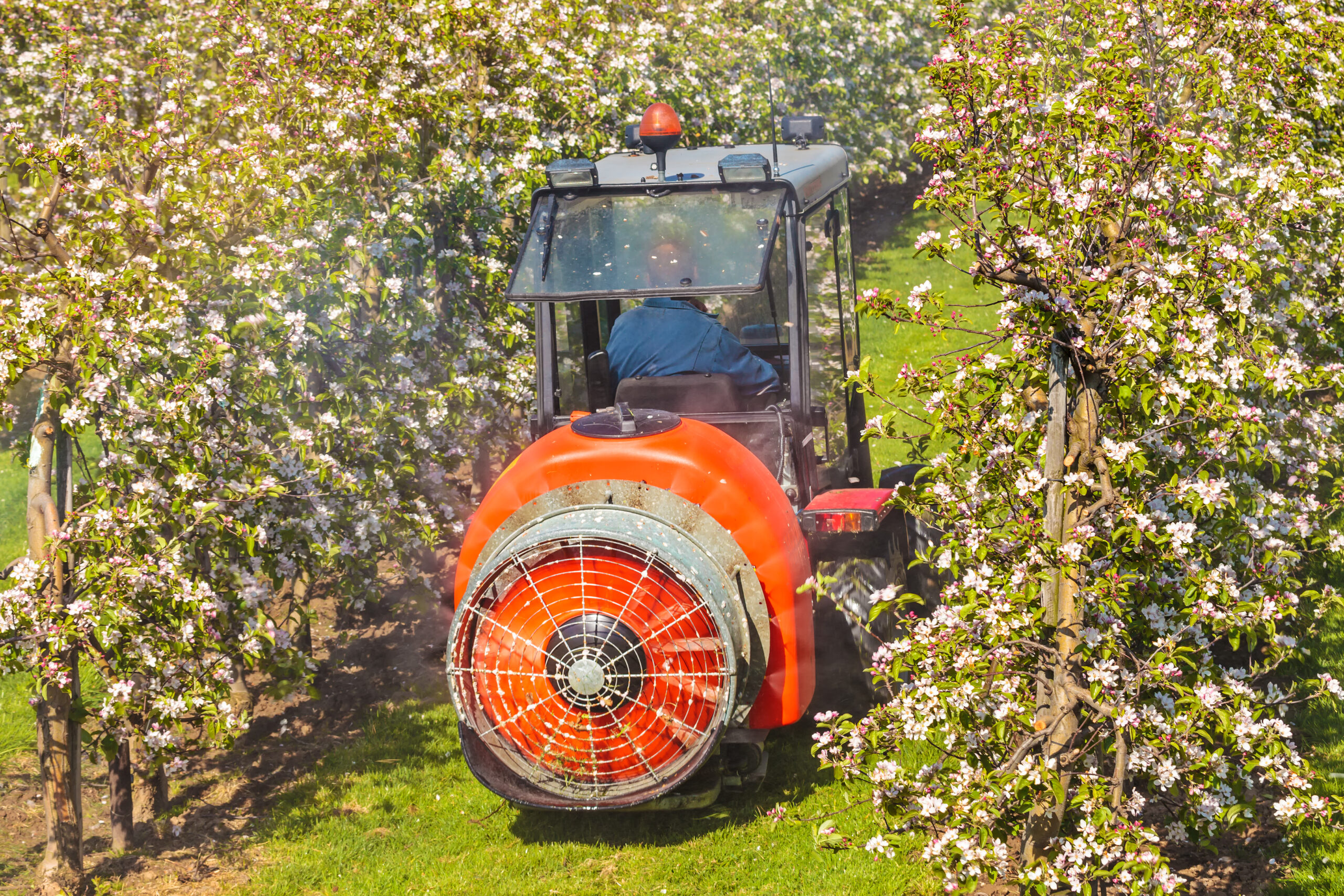 Traktor in de Betuwe