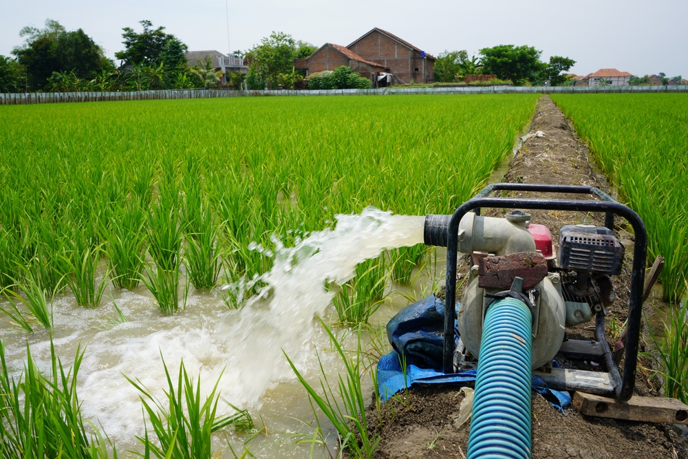 How to include the cost of water in food prices