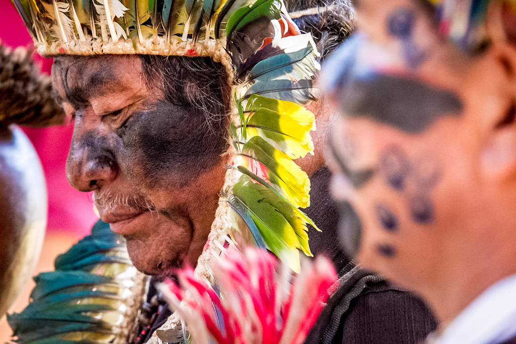 Indigenous lands in the Amazon under increasing threat