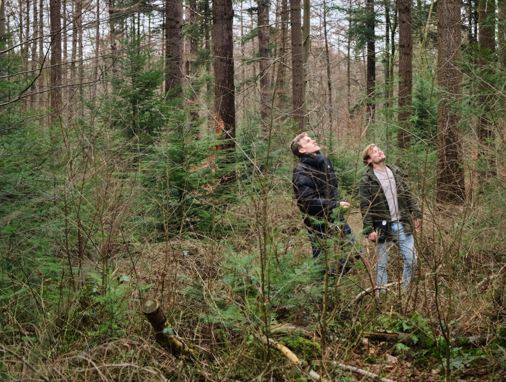 Zachte winters, droge zomers. Hoe overleeft het bos?