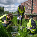 Studenten doen onderoek in het gras bij Forum