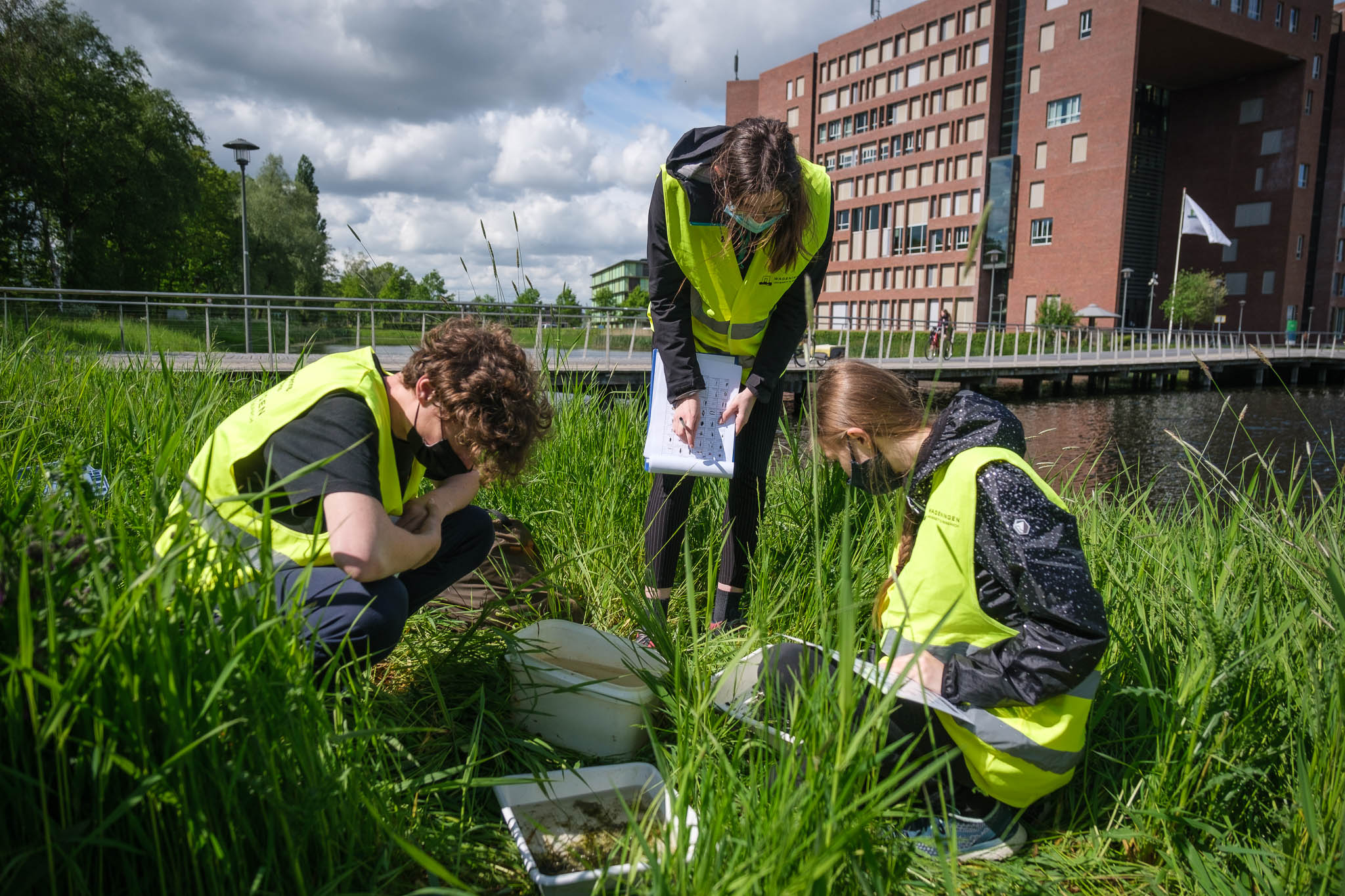 Studenten doen onderoek in het gras bij Forum