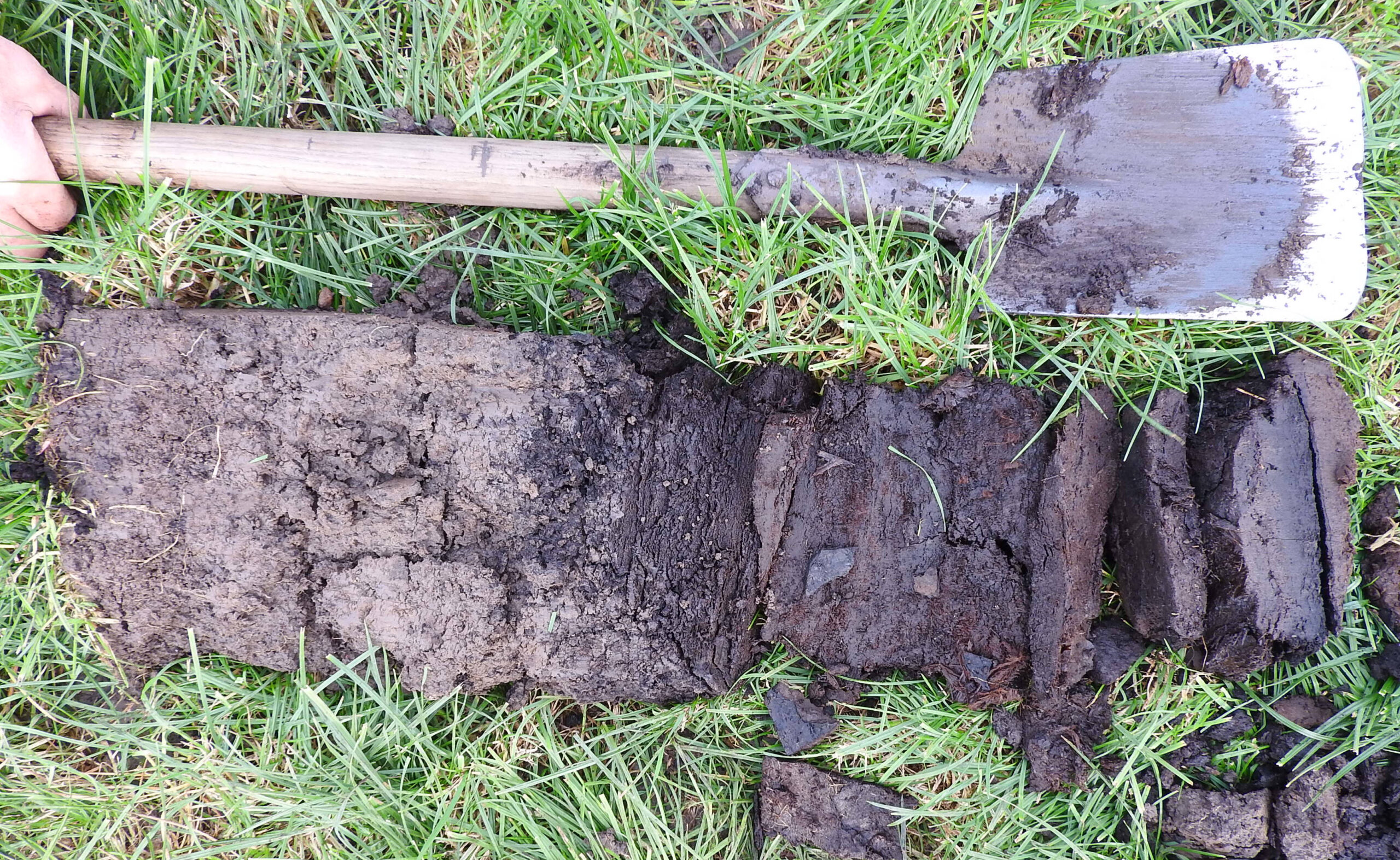 Turning over peat soil benefits climate