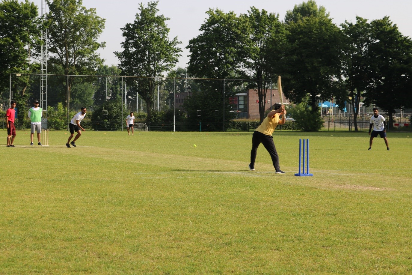 A new beginning of cricket in Wageningen