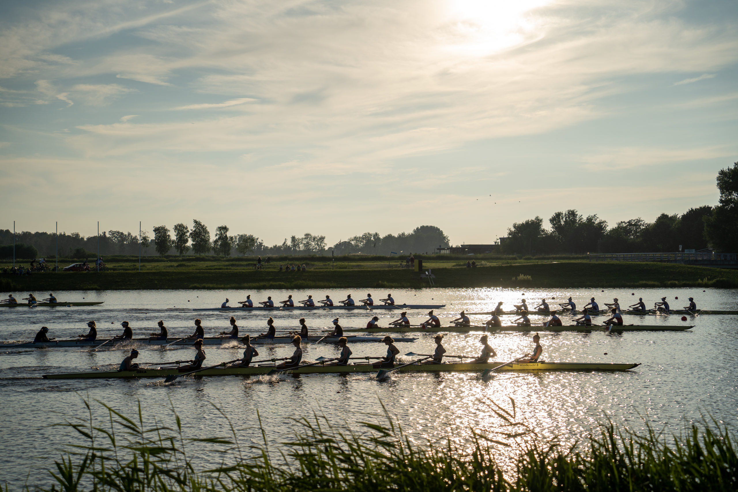 Rowing club Argo organizes new regatta