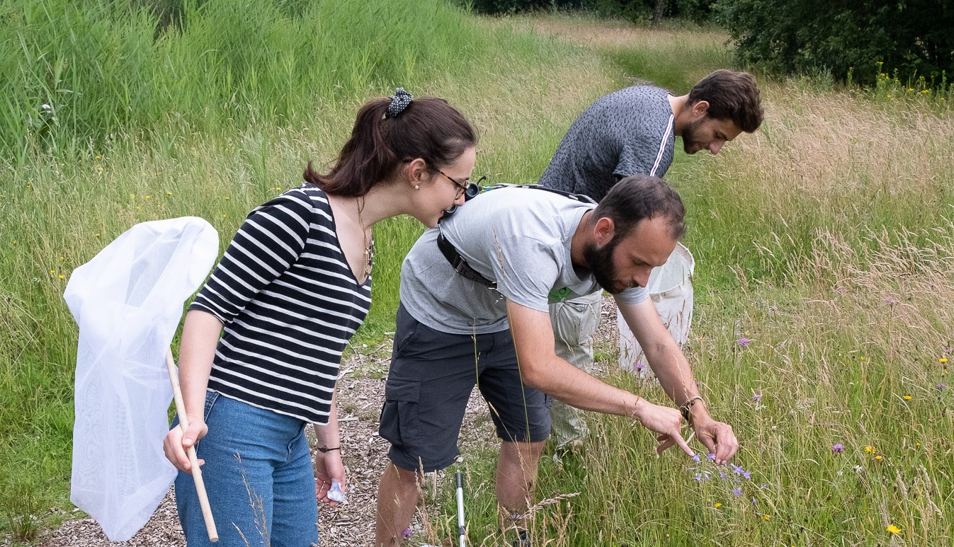 Intermediate result: 655 species on the campus