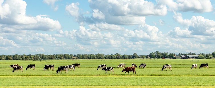 Soil life in agricultural areas mapped