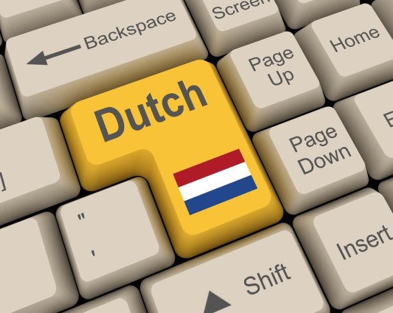 Nederlands moet taal blijven' online