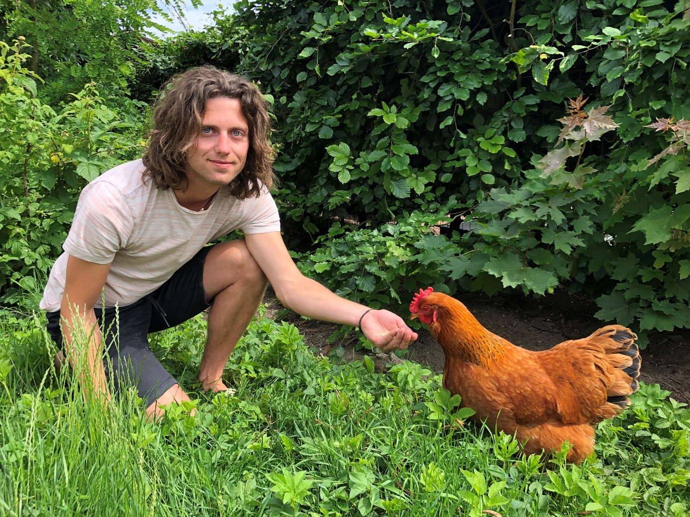 De Bijbaan: Veganist helpt kippen ruimen