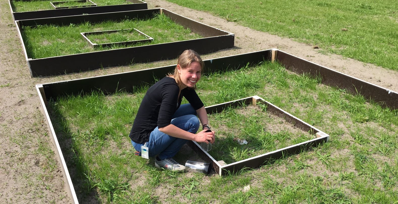 Wormen verhogen fosfaat in gras