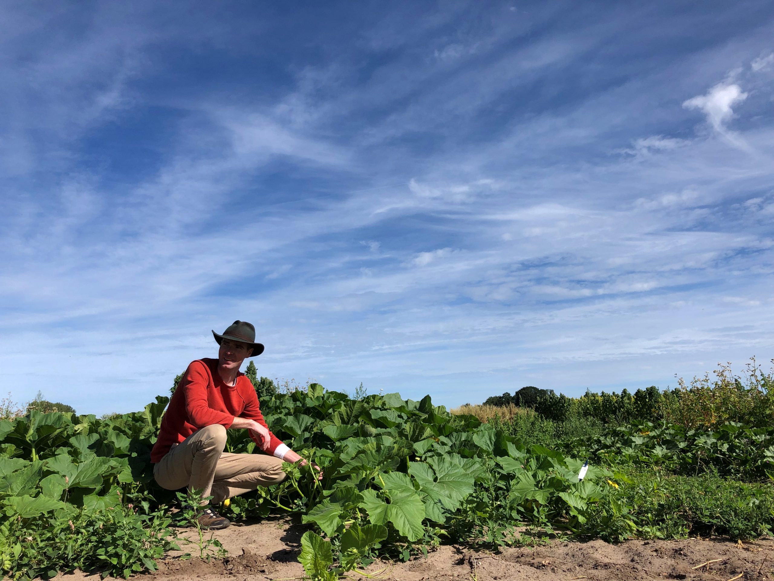 Bieten houden niet van quinoa