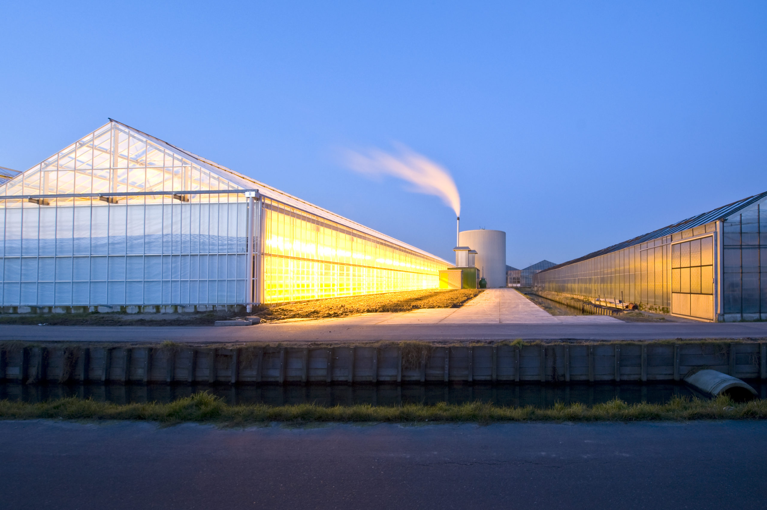 Innovation in greenhouses stalled by energy crisis