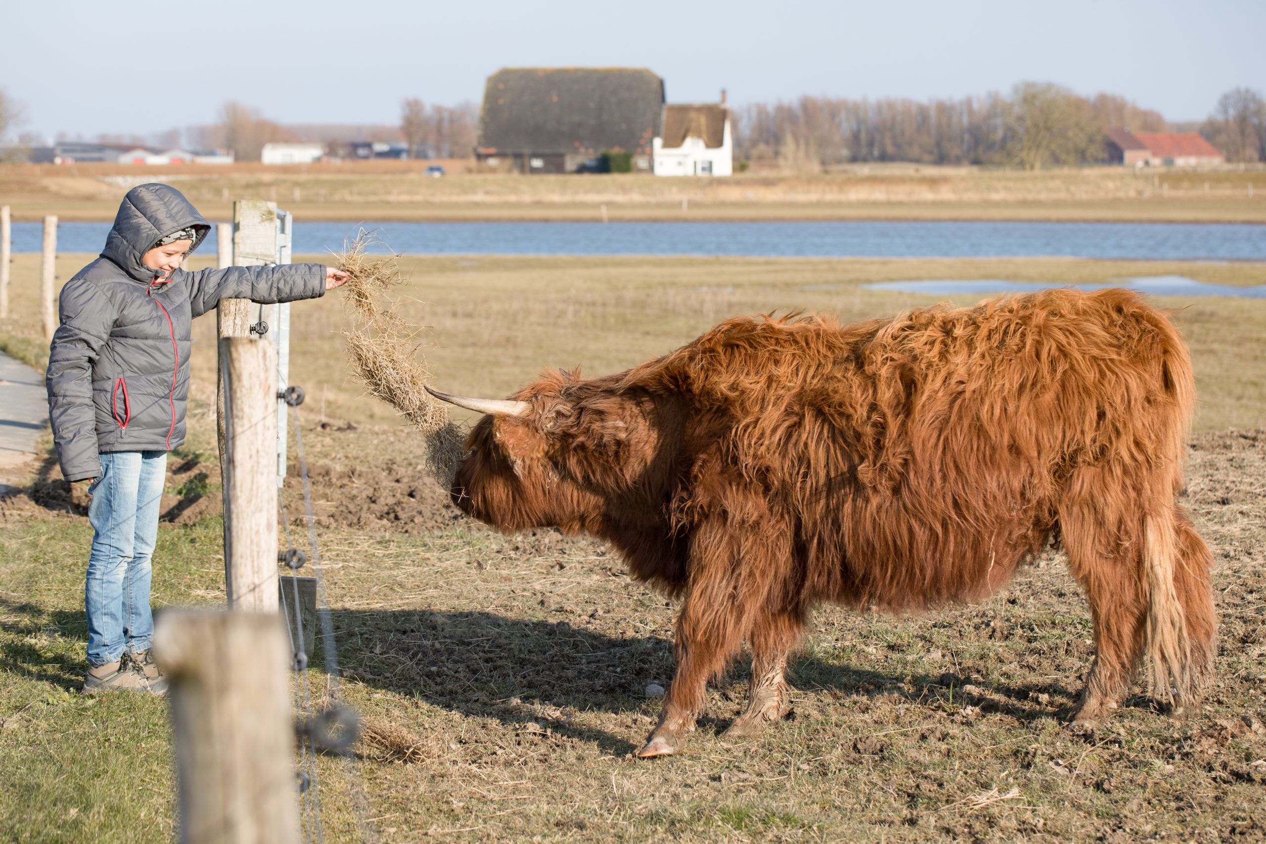 Ook de mens moet herwilderen