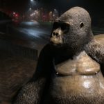 Gorillabeeld bij Burgers' Zoo