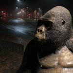 Gorillabeeld bij Burgers' Zoo