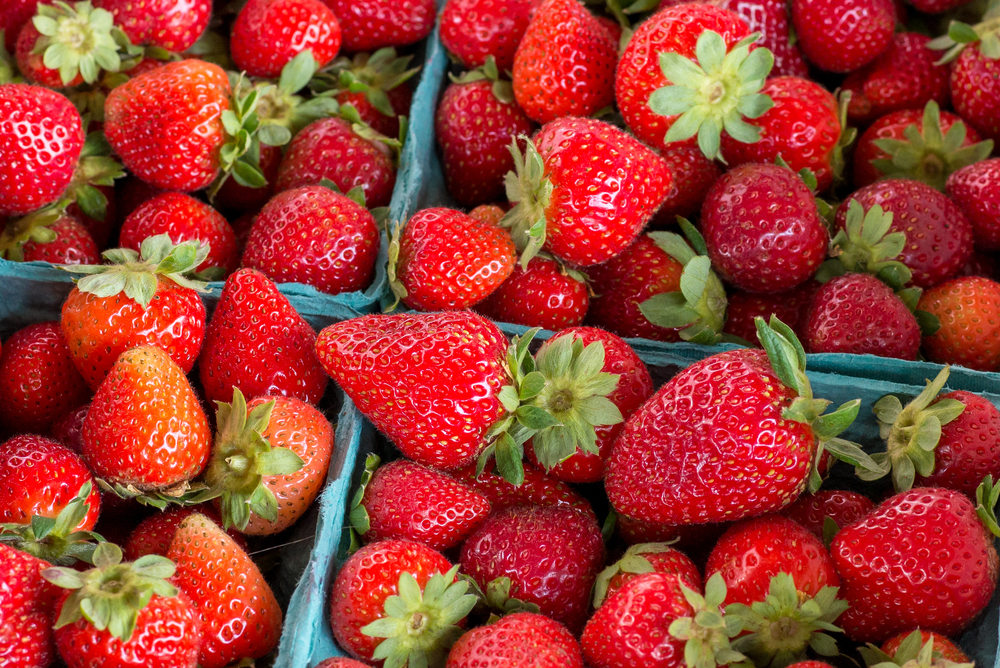 Model voor houdbaarheid fruit maakt iedereen expert