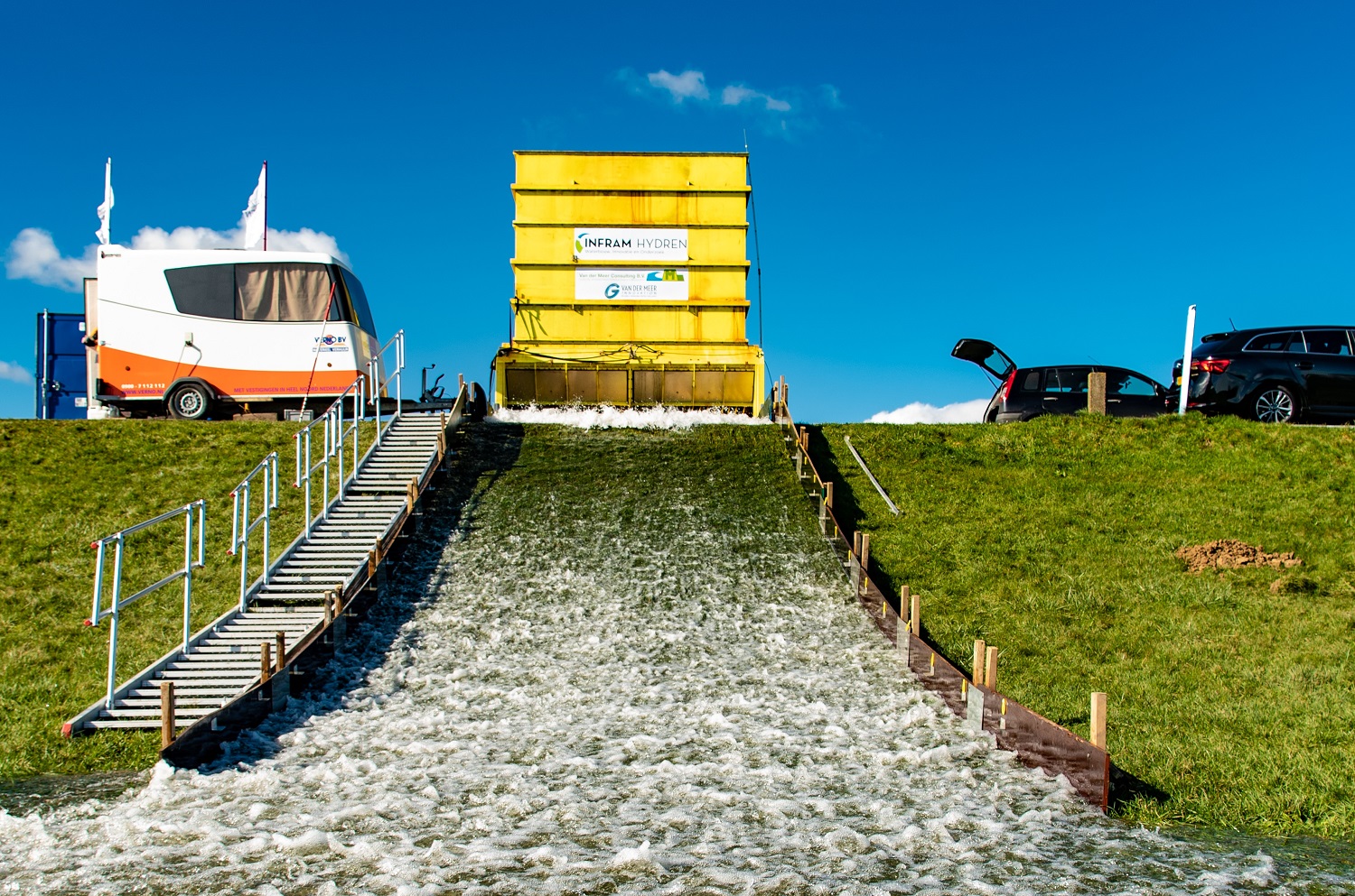 Flowers fortify dyke