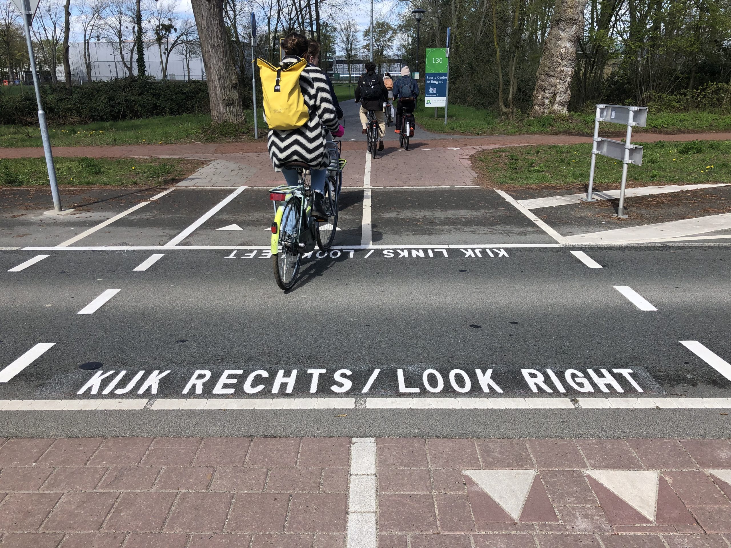 Text and triangular road markings on Nijenoord Allee crossing