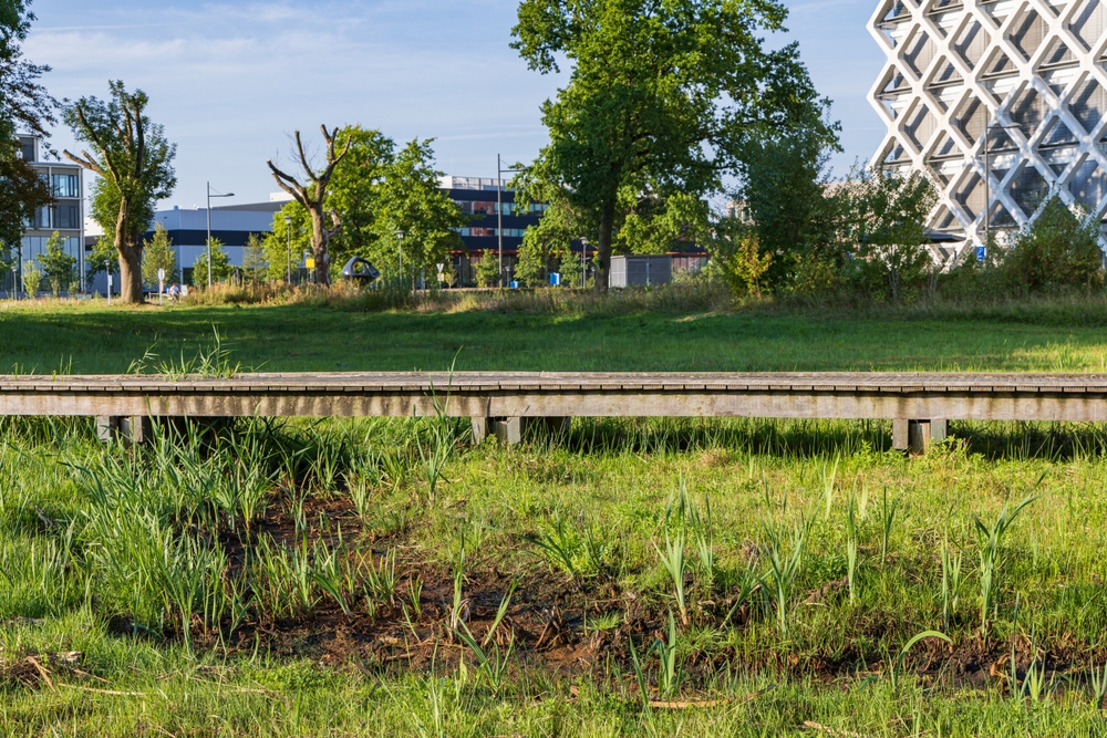 Campus, generiek beeld