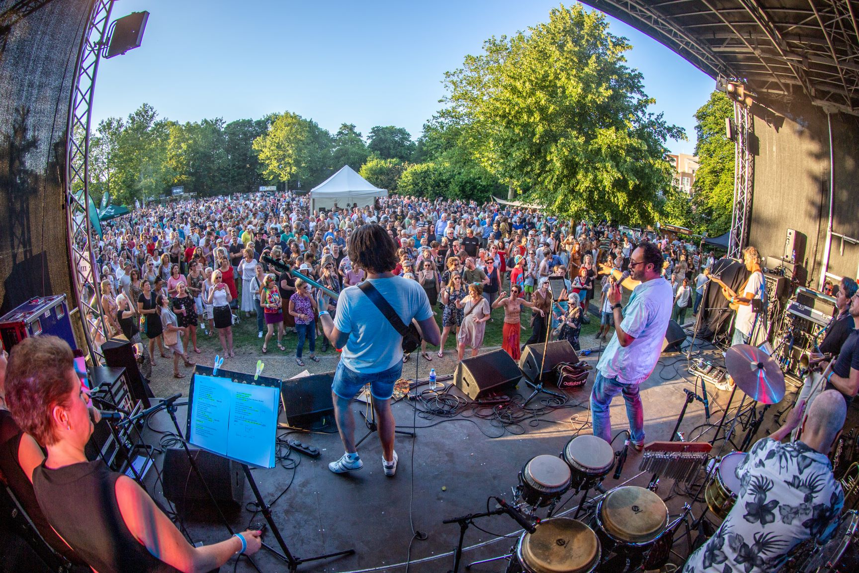 Publiek op Woetstok 2019 in Torckpark