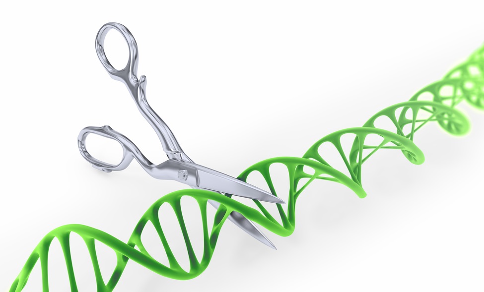 Sharpening the CRISPR-Cas scissors