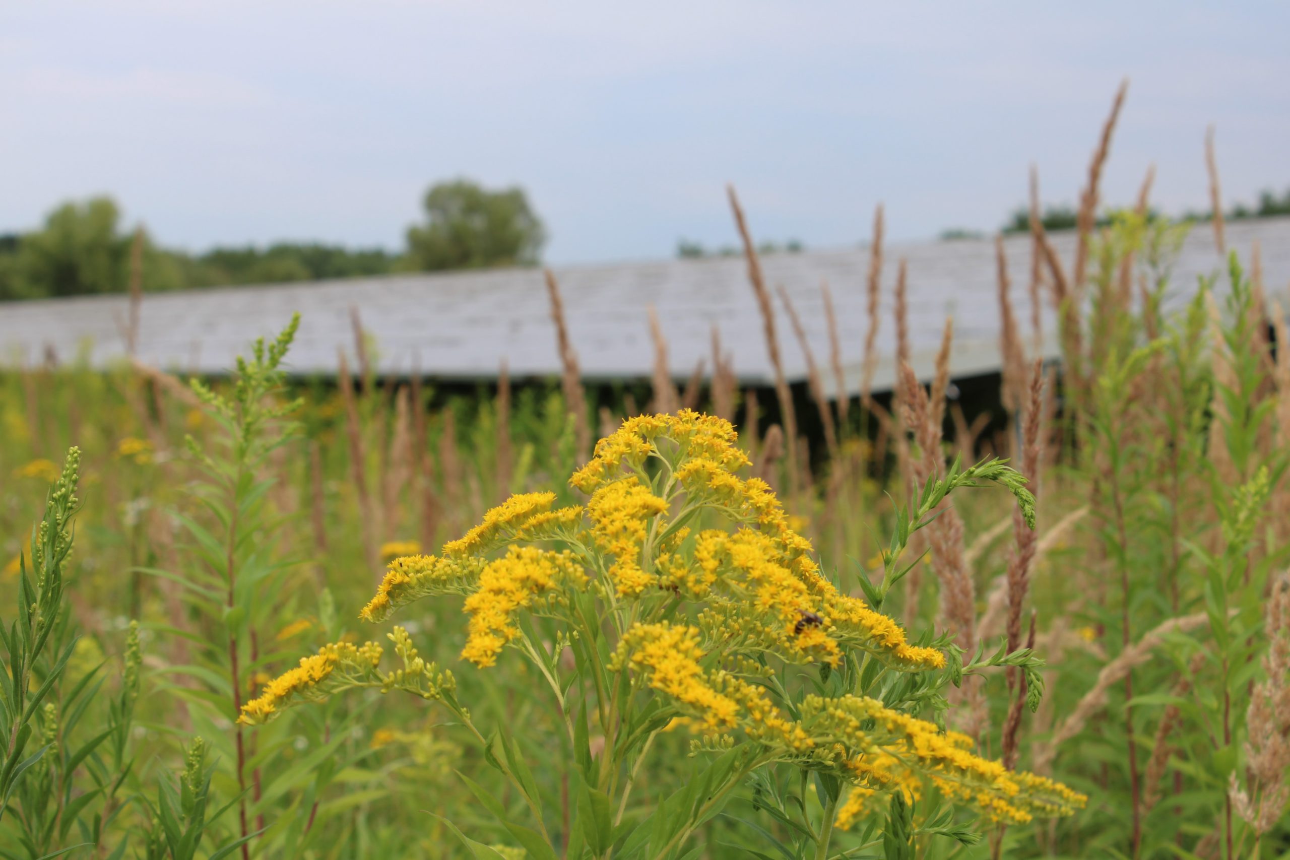 Second round of the solar parks competition