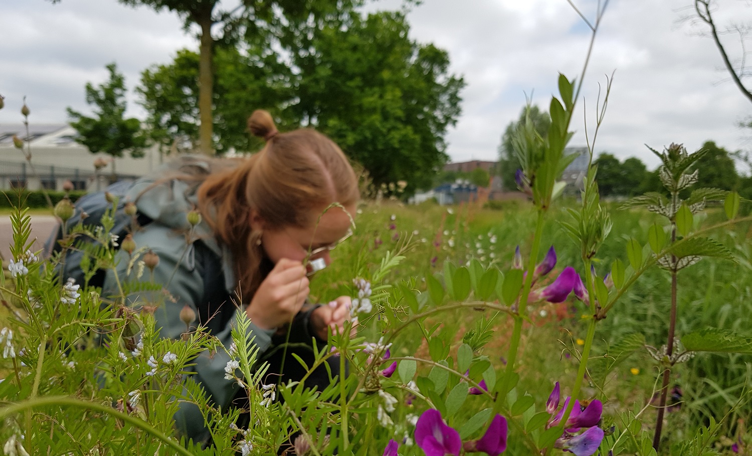 Bioblitz hard op weg naar 1000 soorten