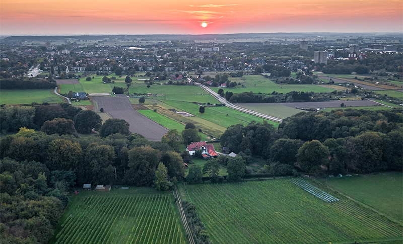 ‘Not perfect, but workable’: four WUR scientists write a vision paper on agriculture for the provinces