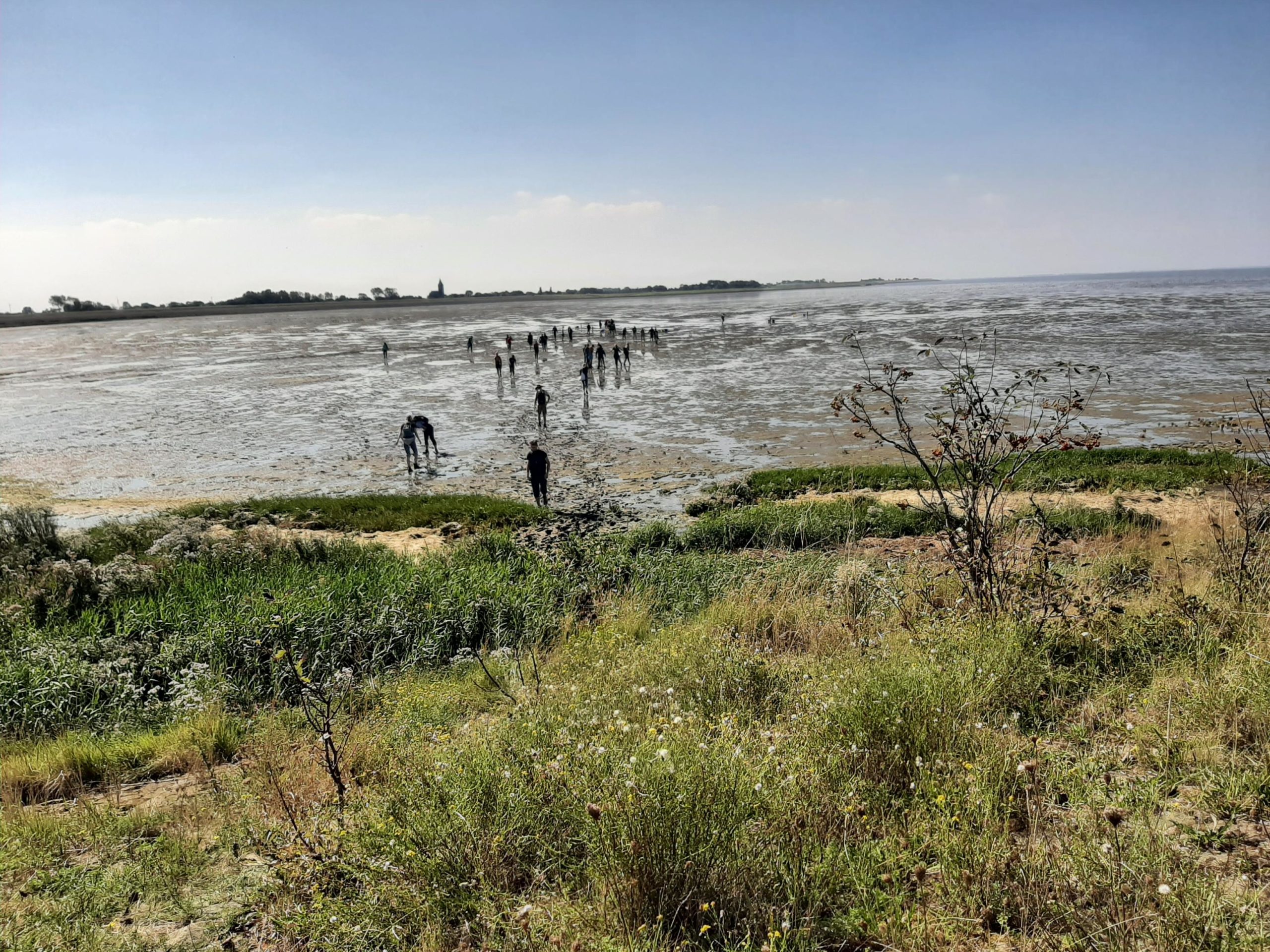 Dringen bij Marine Sciences