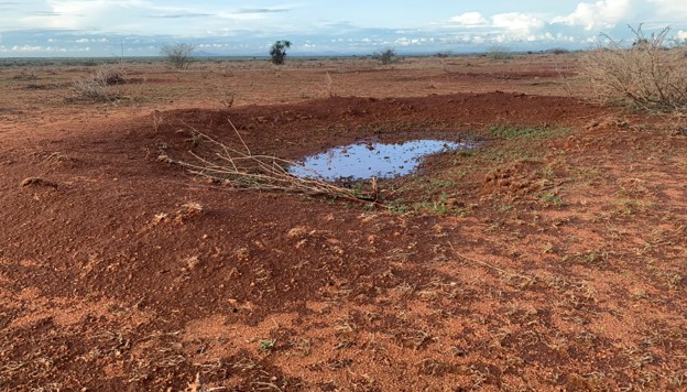 Soil restoration in Africa has a warming and cooling effect