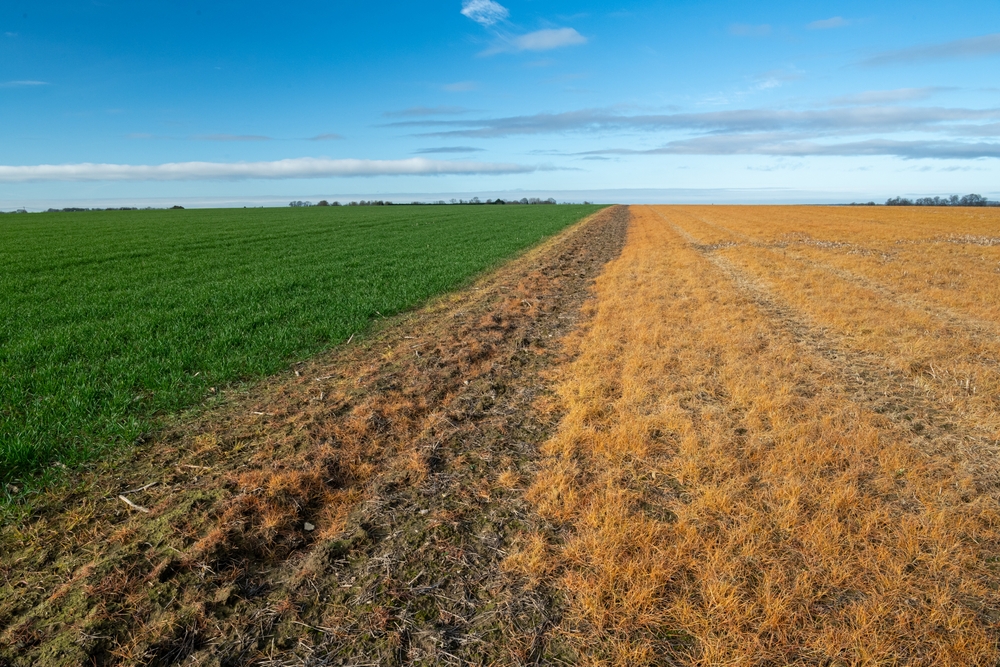 Doodspuiten van grasland is (nog) een van de toepassingen van glyfosaat. Foto Shutterstock