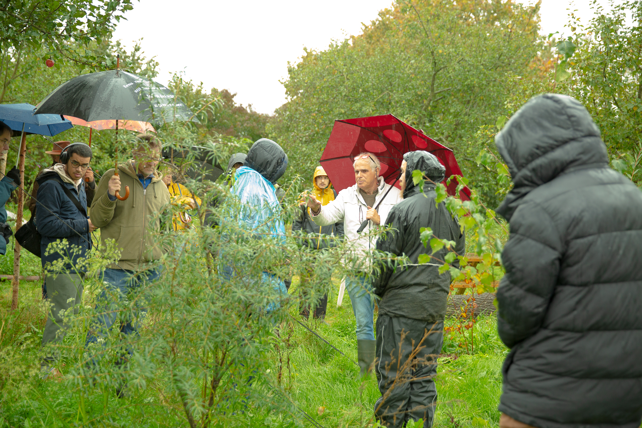 First lustrum for Droevendaal food forest